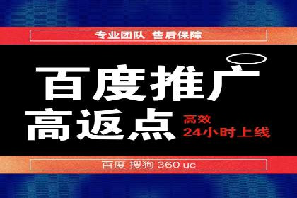 百度竞价公司成功案例揭秘：如何快速提升品牌曝光度